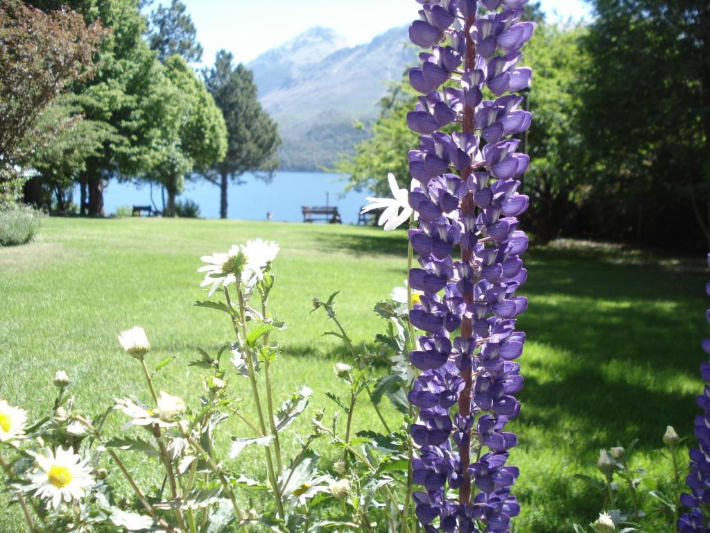 Lago Gutierrez Lodge San Carlos de Bariloche Exterior foto